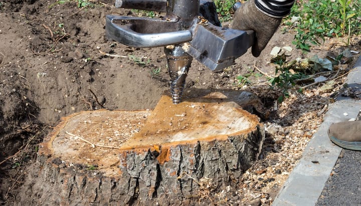 Tree Stump Removal